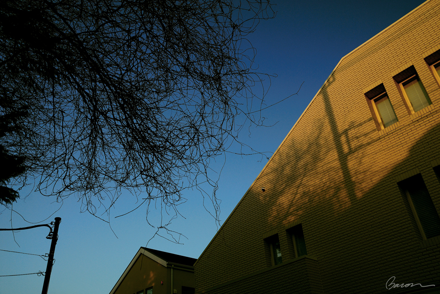 TOKYO, 東京, 池袋, 自由之丘