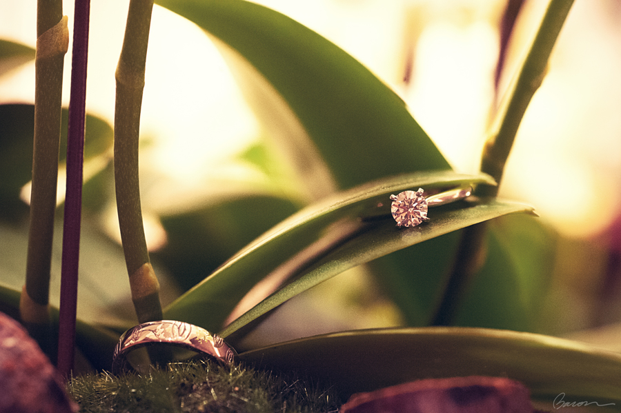 婚禮紀錄,婚攝培根,台北晶華酒店,BACON IMAGE, 晶華酒店